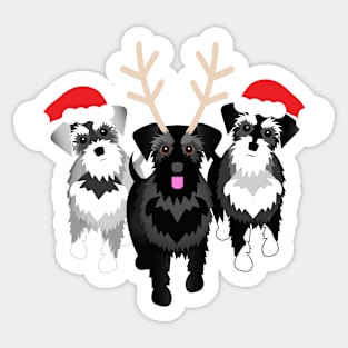 Three Christmas Schnauzers Sticker